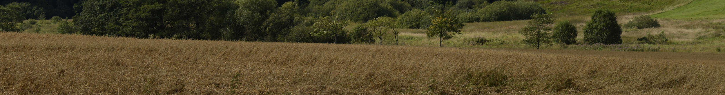 Natur03